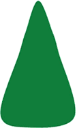thuja-x-green Arborvitae varieties