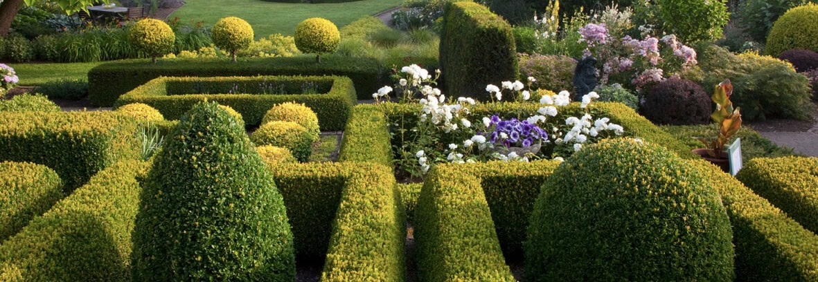 knot3-bodyimage Knot gardens