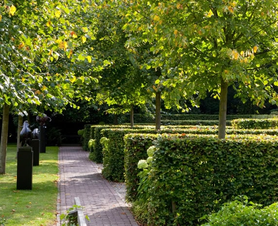 CONTEMPORARY GARDENS
