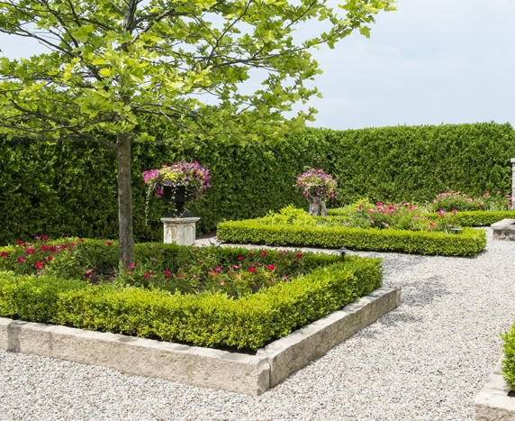 Container Gardening container gardening design ideas picture