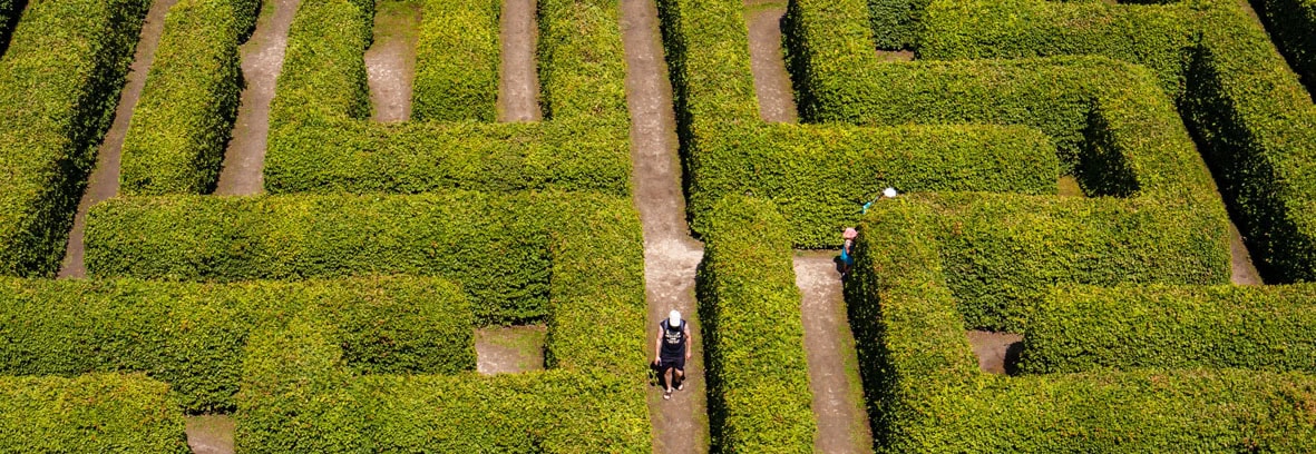 maze-bodyimage maze garden