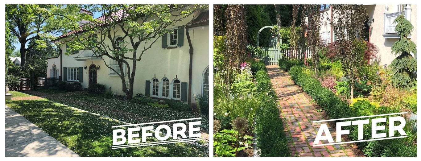 before-after