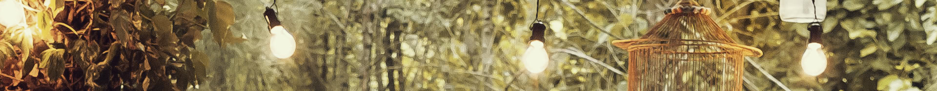 Cabezal2