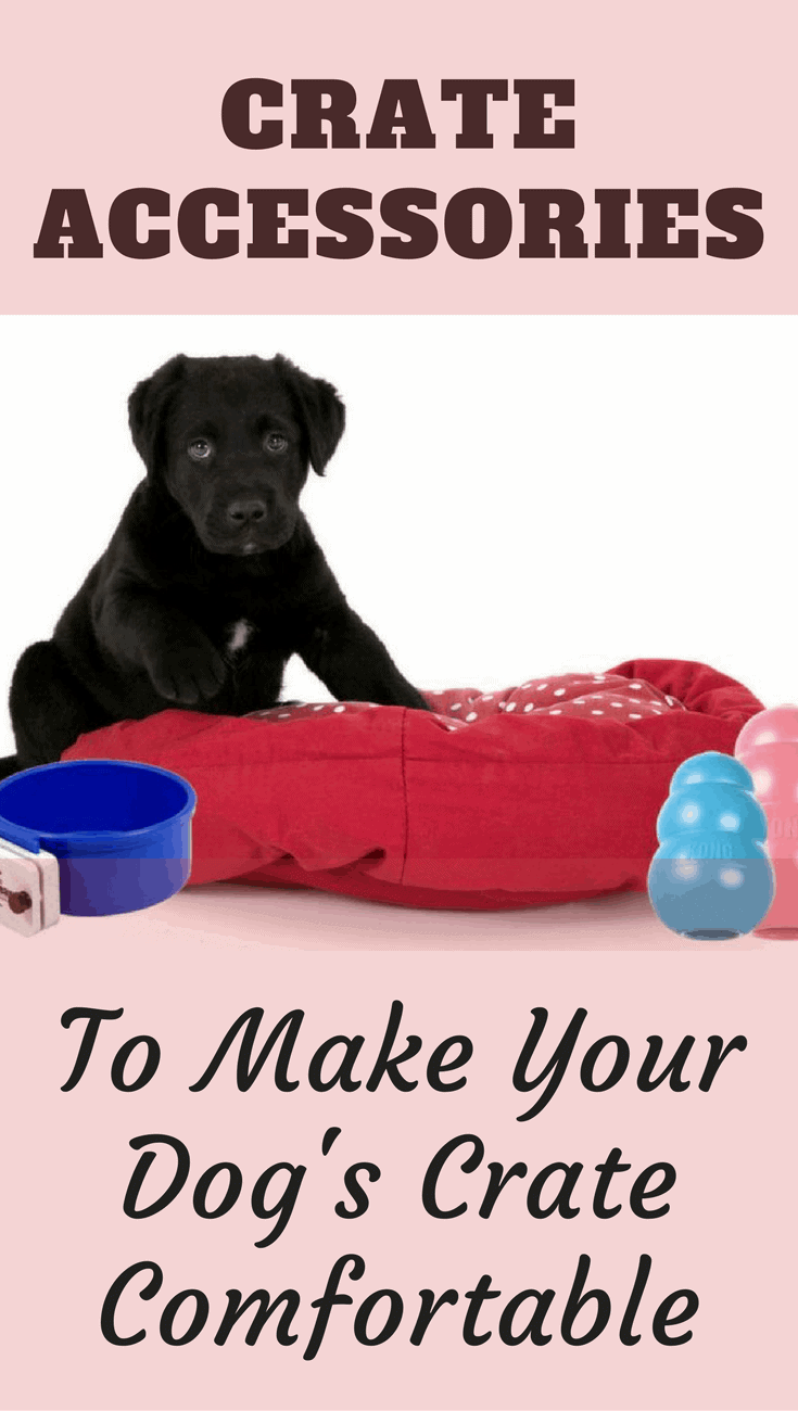 After selecting the right size crate (and if you need help, please see our handy dog crate size guide) you want to make it a pleasant and welcoming place for your dog to spend time in. You need to add a few 'creature comforts'. Check out our recommended list!