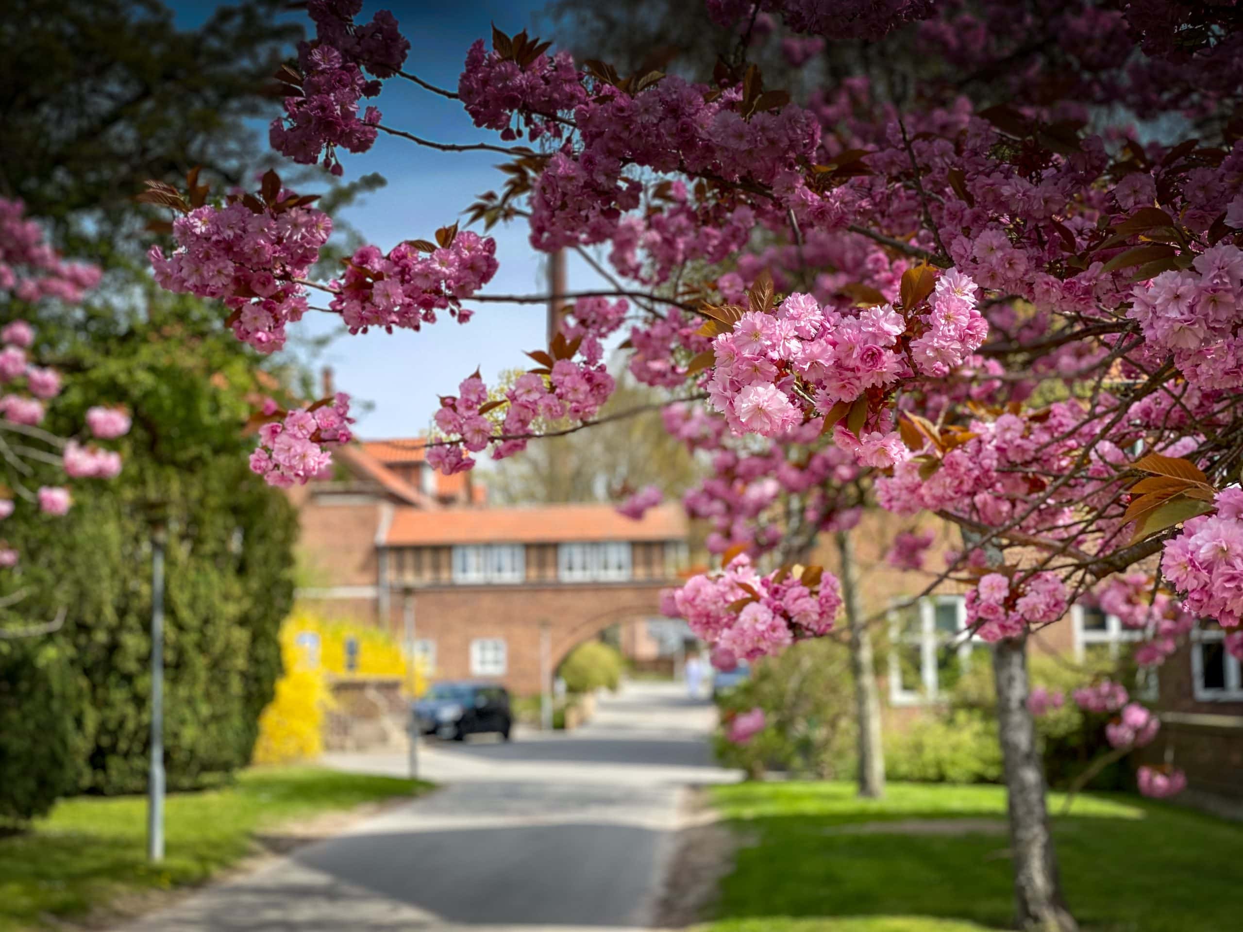 Hjem bbh12 topgradient scaled