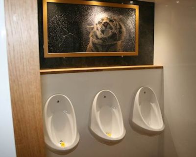 lux-urinals-crop-hire Luxury urinals to hire