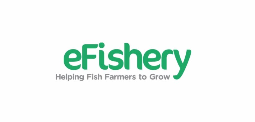 eFishery Hires Former CEO of GoPay, Targeting 900% Growth