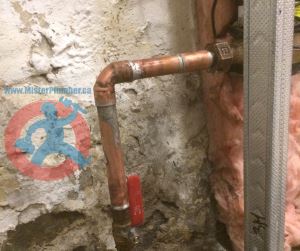 New 3 4 water service in Toronto s