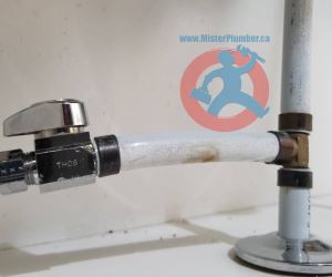 Hot water supply for dishwasher s