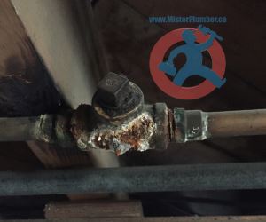 Corroded galvanized T connection s