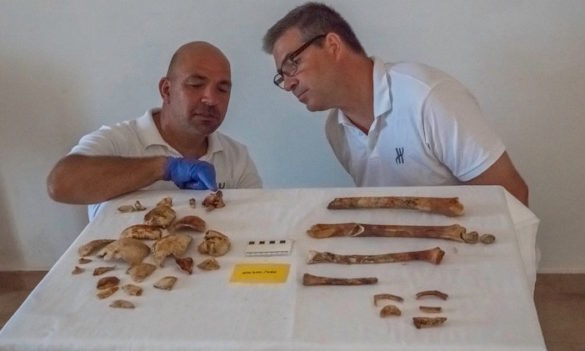 am3 Major Discovery a First in Underwater Archaeology; Antikythera Shipwreck Yields Human Skeleton