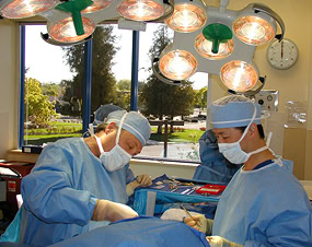 Dr Stompro and Dr Cheng Board Certified Plastic Surgeons