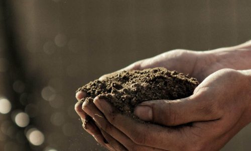 Izguba intuicije naturopatija pranaturas Izguba intuicije naturopatija pranaturas