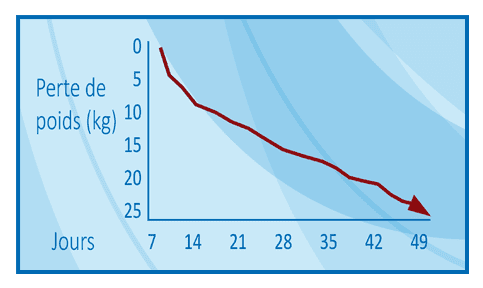 graph graph