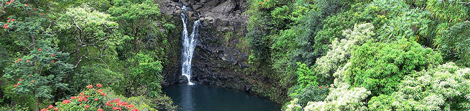 Zip and Rappel Tours, Maui, HI