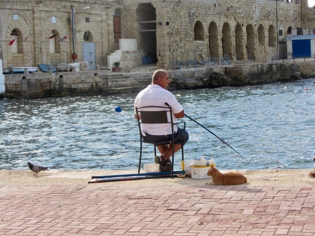 Un pescatore e un gatto sul molo di Valletta