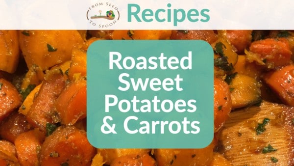 Roasted Sweet Potatoes & Carrots Roasted Sweet Potatoes & Carrots