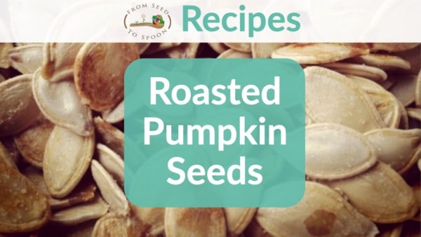 Roasted pumpkin seeds Roasted pumpkin seeds