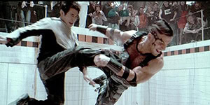 Danny The Dog-sd Danny the Dog - top film sport de combat
