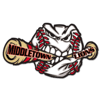 Little league, custom baseball pin, baseball image with broken bat,