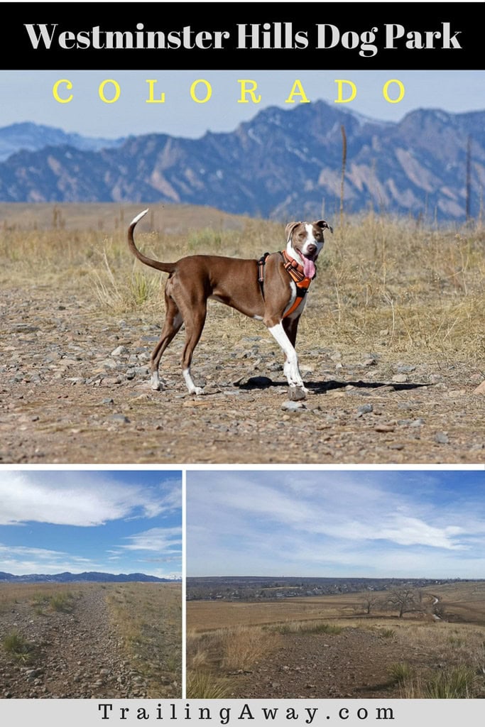 Westminster Hills Dog Park near Standley Lake in Colorado is great for humans that want to enjoy this gorgeous area too! Trail review includes photos, details and tips. #colorado #hike #boulder #denver #flatirons #dogpark