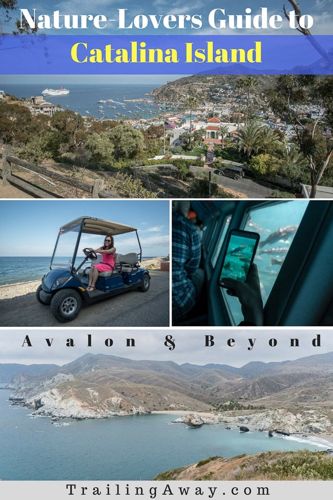 Nature-Lover\'s Getaway to Catalina Island: Avalon & Beyond