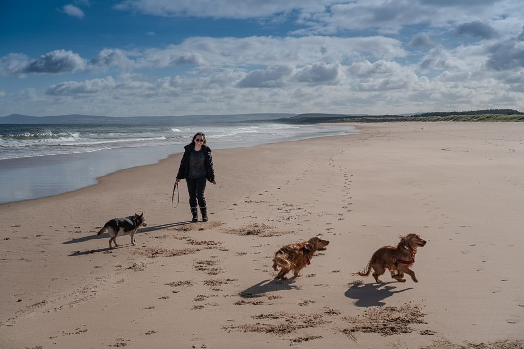 Dogs running on the beach in Scotland that we were house and pet sitting