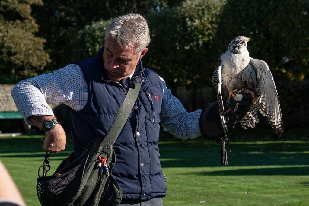 Dunrobin Castle Falconry Demonstration Falconer with a large white falcon on his arm