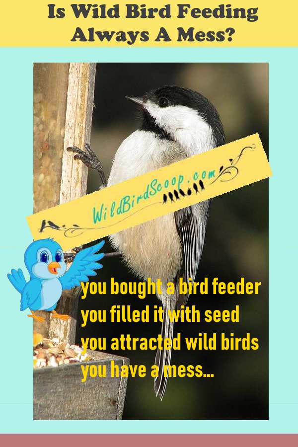 Bird Feeder Mess A picture of a bird at a bird feeder. The heading reads "is wild bird feeding always a mess?"