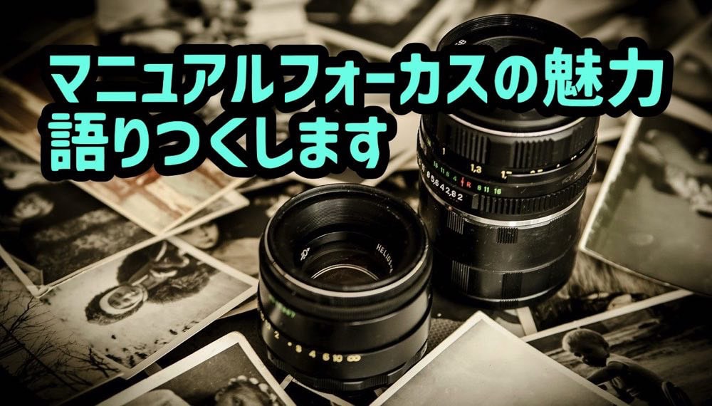MF(マニュアルフォーカス)で撮る写真の魅力7選 ピントの隙間を撮るのが楽しい