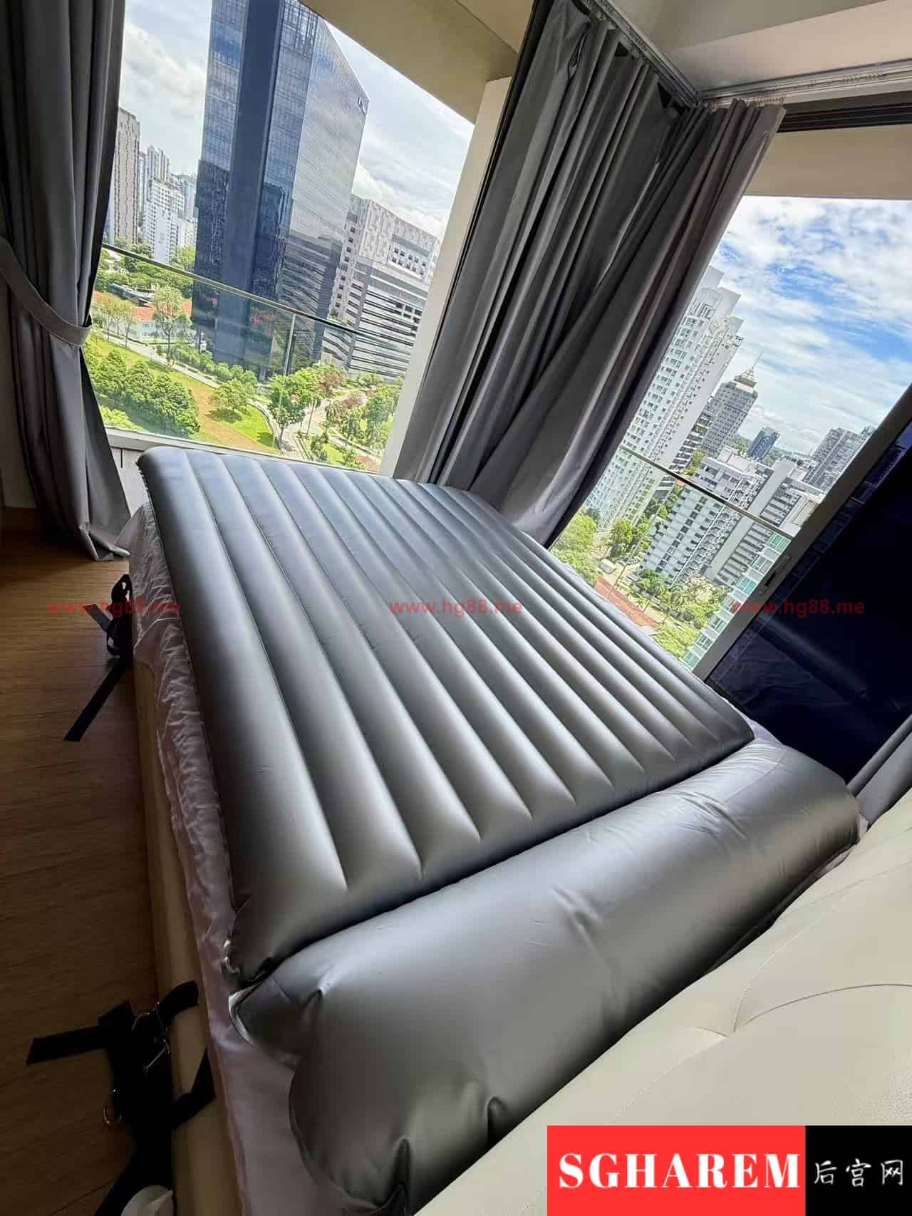 Liz-唯一 【2572】 Big Image