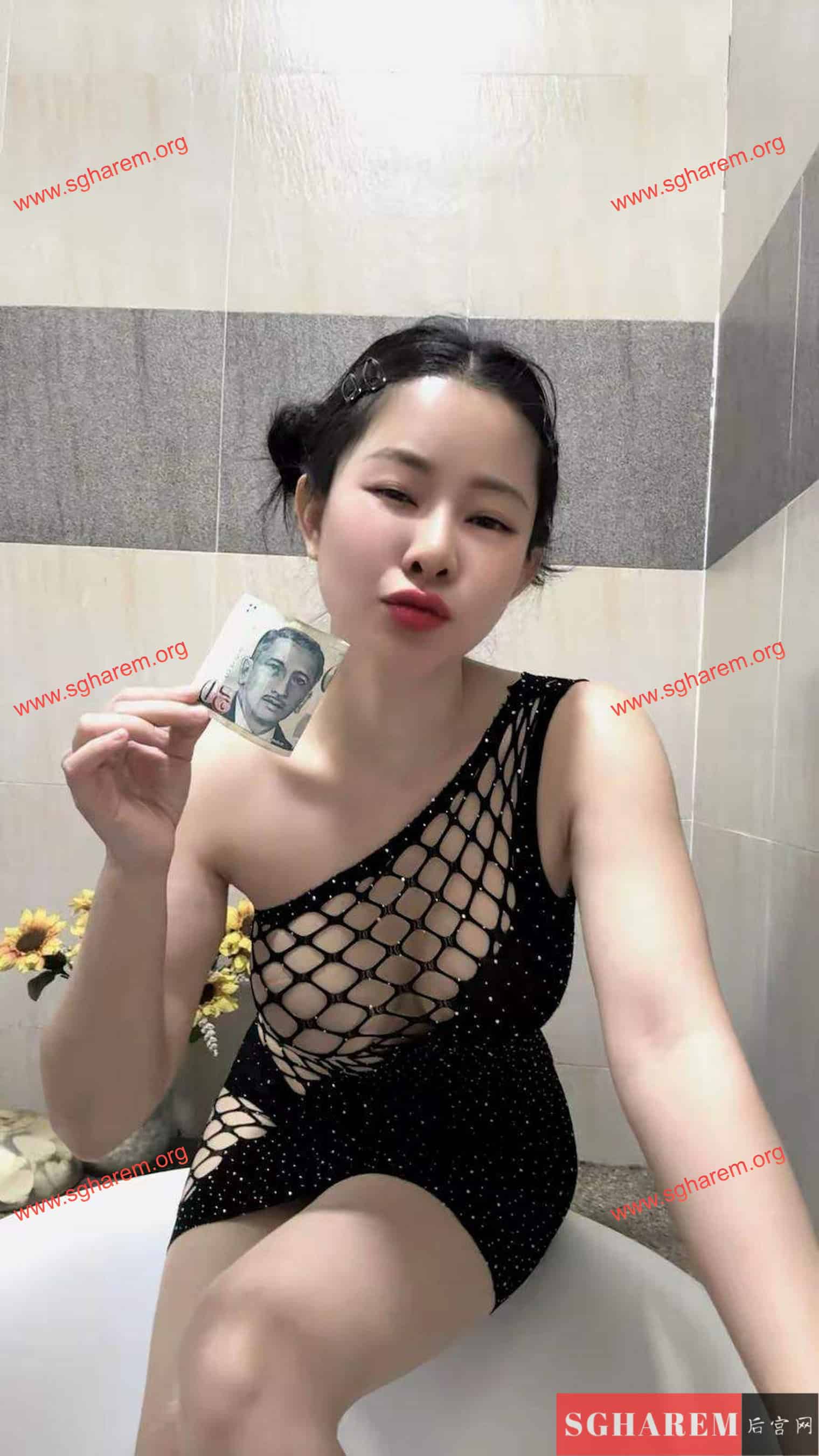 JoJo 越南 Vietnam 【2702】 Big Image