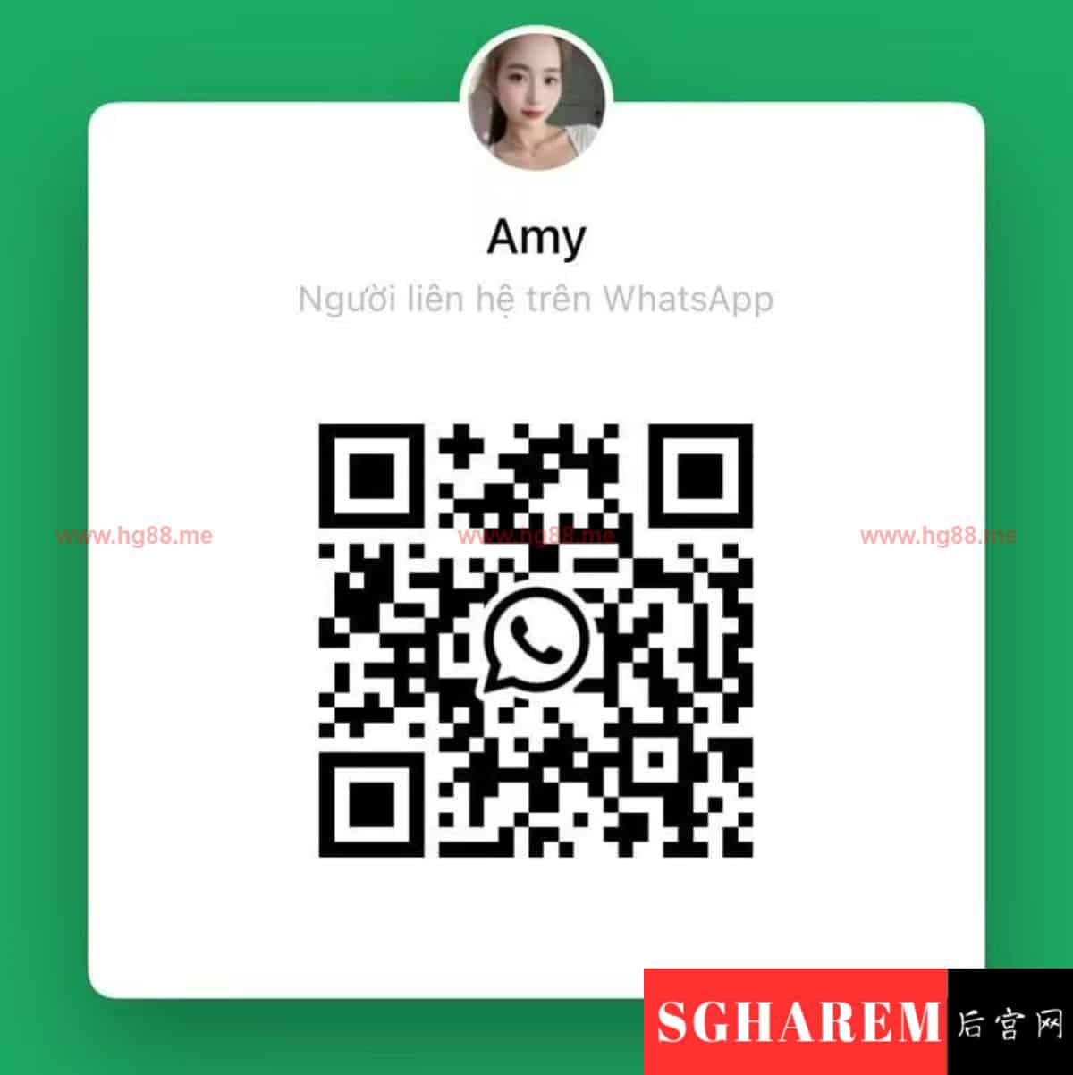 Amy 越南 Vietnam 【2917】 Big Image