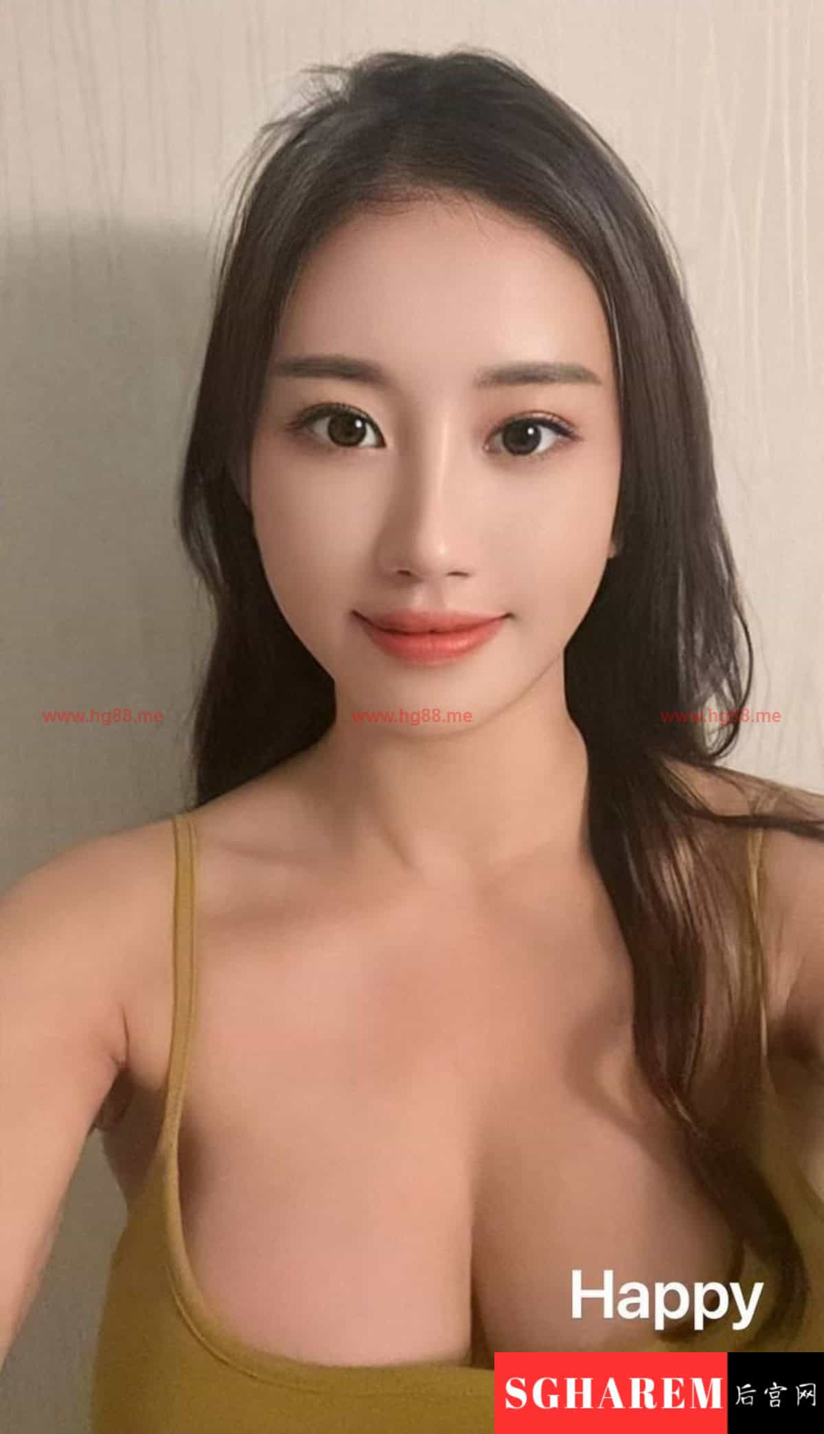 Happy 【3211】 Big Image