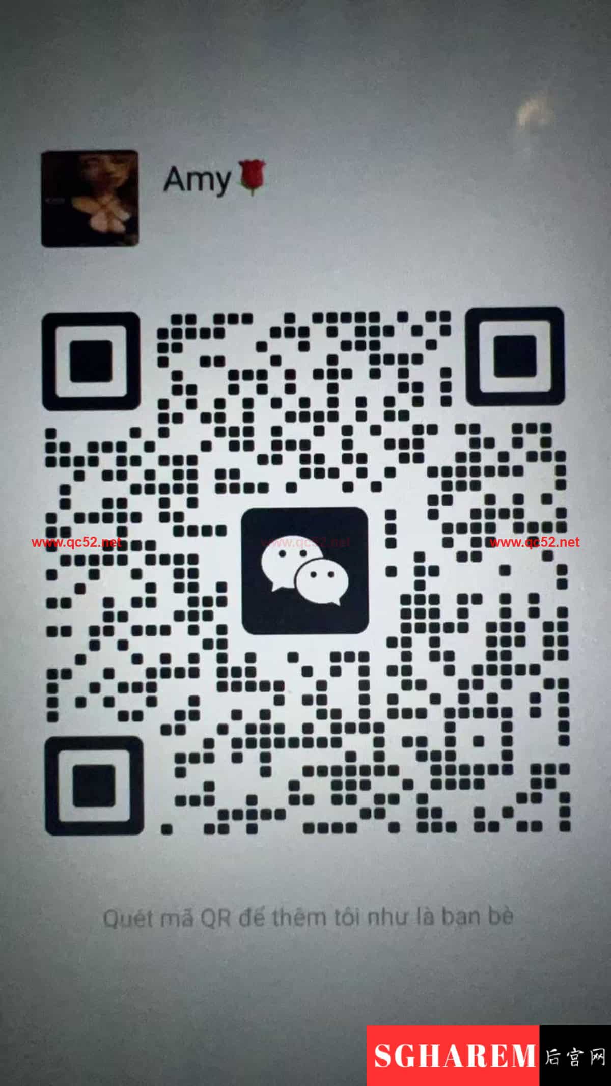 Dona 越南 Vietnam 【3429】 Big Image