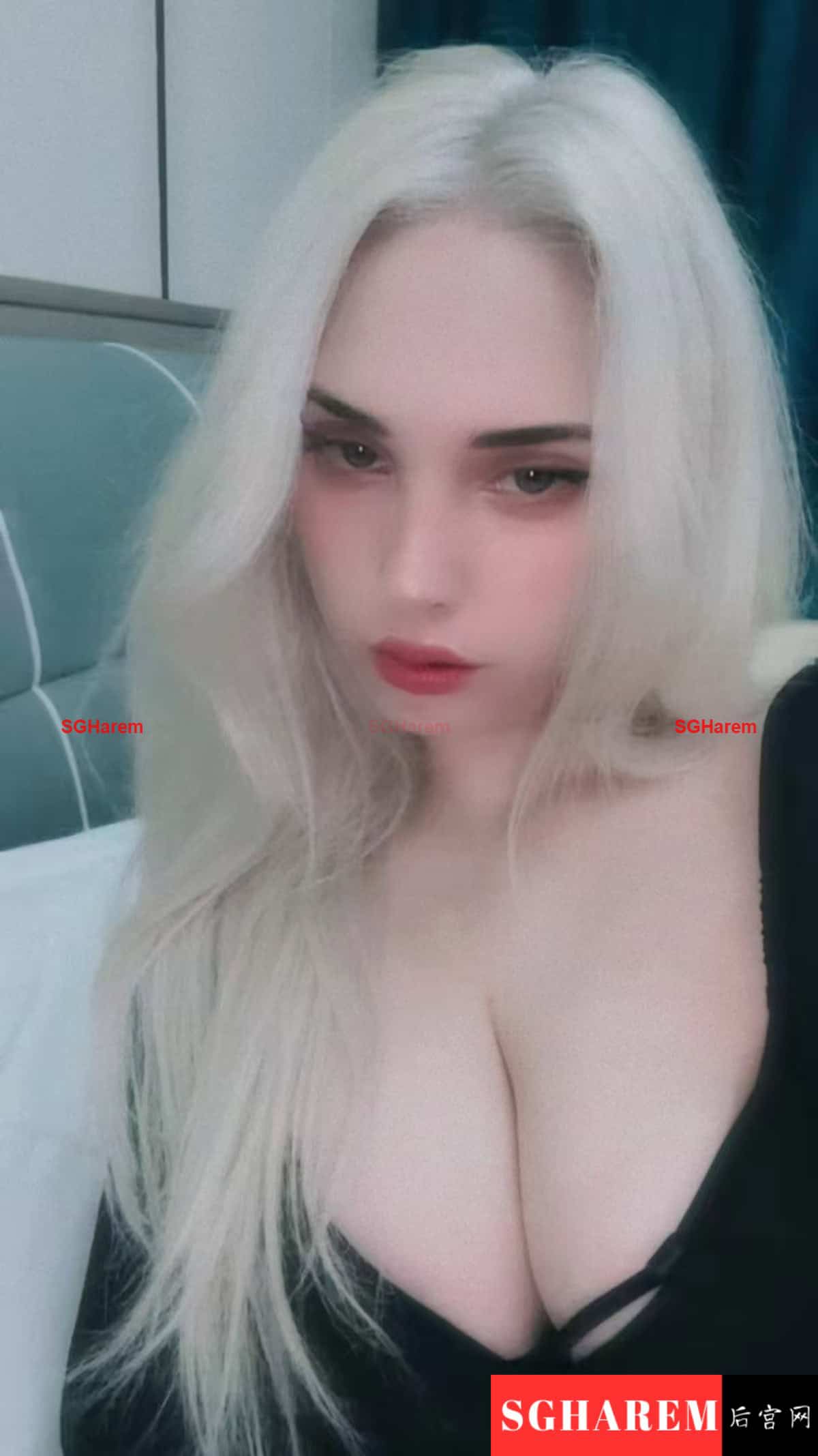 Olivia 【3452】 Head Image