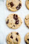 Chocolate Chip Tahini Cookies Recipe
