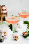 It's about figgin thyme for a cocktail! This fig and thyme cocktail is festive, bright, and perfect for your next get together!
