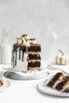 s'mores cake with slice taken out
