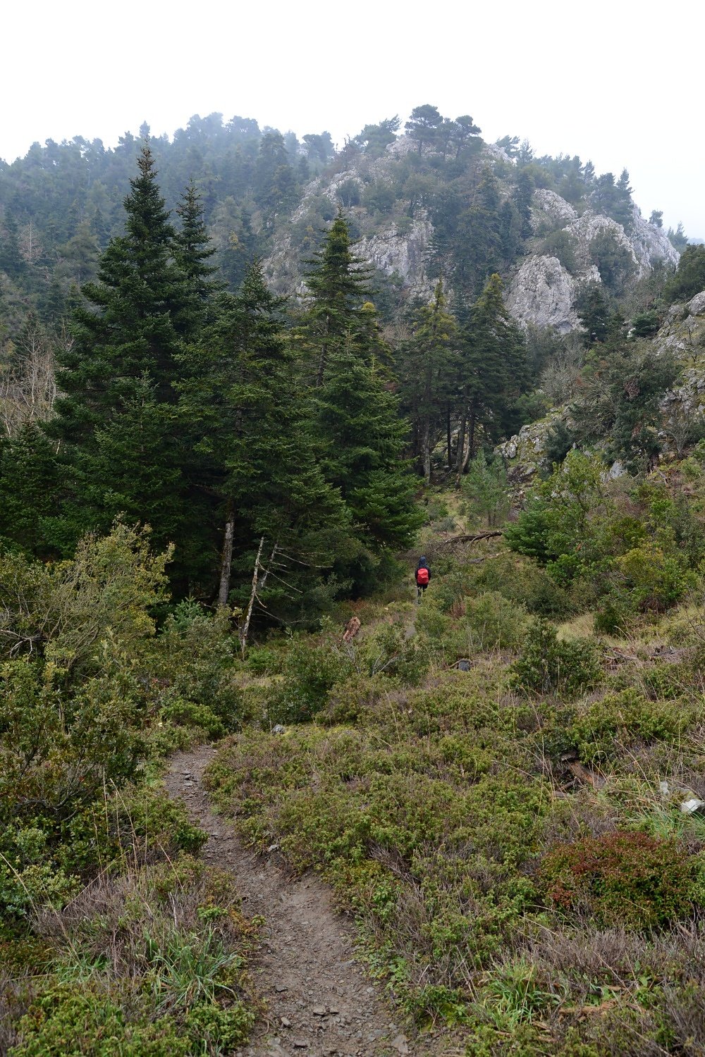 Hiking to Goura Stream, Parnitha, Greece