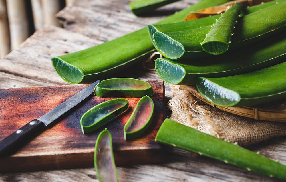 aloe vera 2 | Dicas de Saúde aloe vera 2
