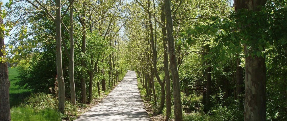 Naturheilkunde-Stuttgart 179 wohin geht der Weg