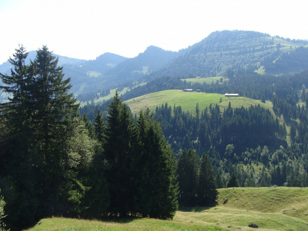 Demenz und Alzheimer 2 Allgäu Erholung und mehr