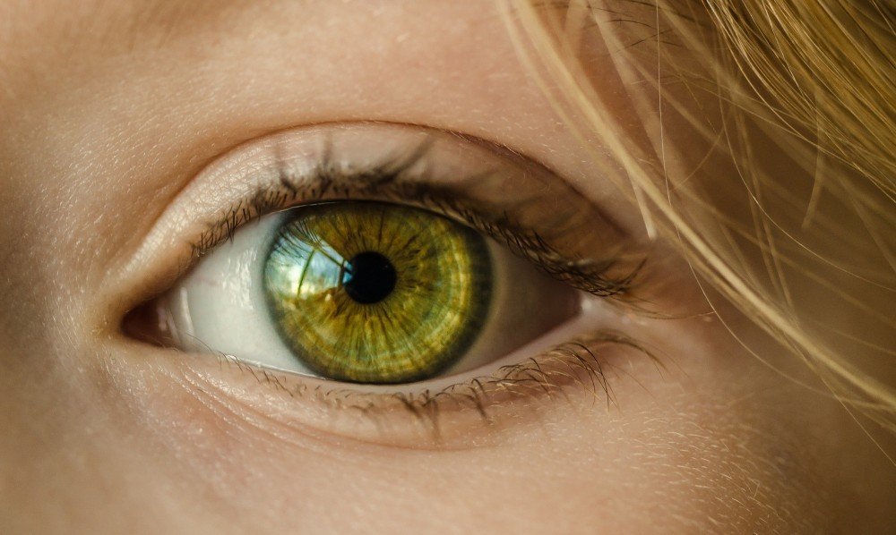 Irisdiagnose - Augendiagnose 2 Auge