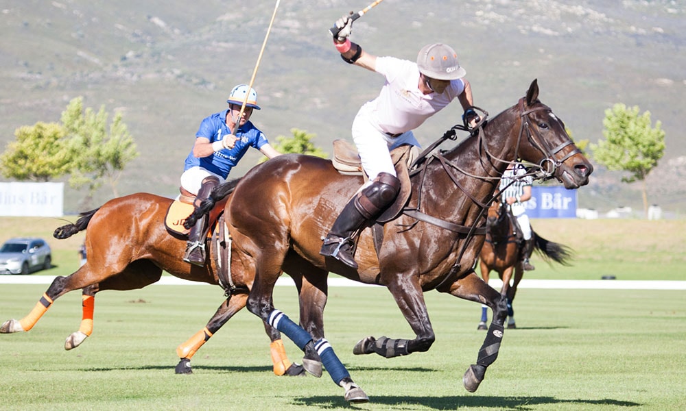 Pink-Polo-Image-05