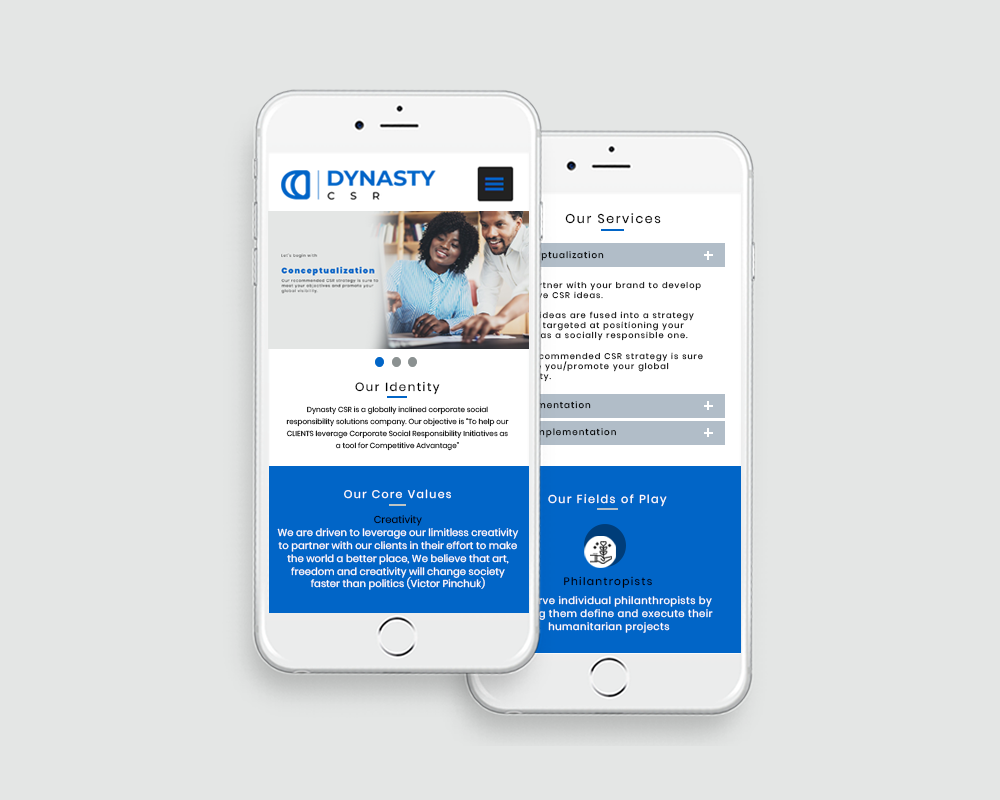 Responsive website design DientWeb
