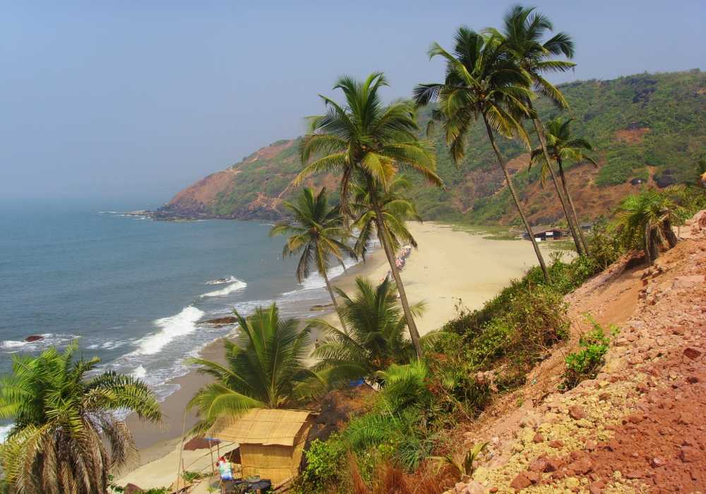 arambol beach north goa