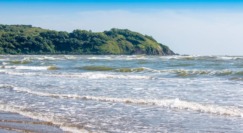 morjim beach north goa