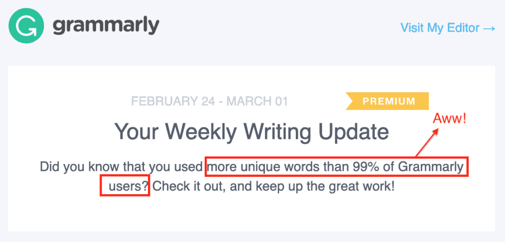 Grammarly Review 2020 Everything You Need To Know