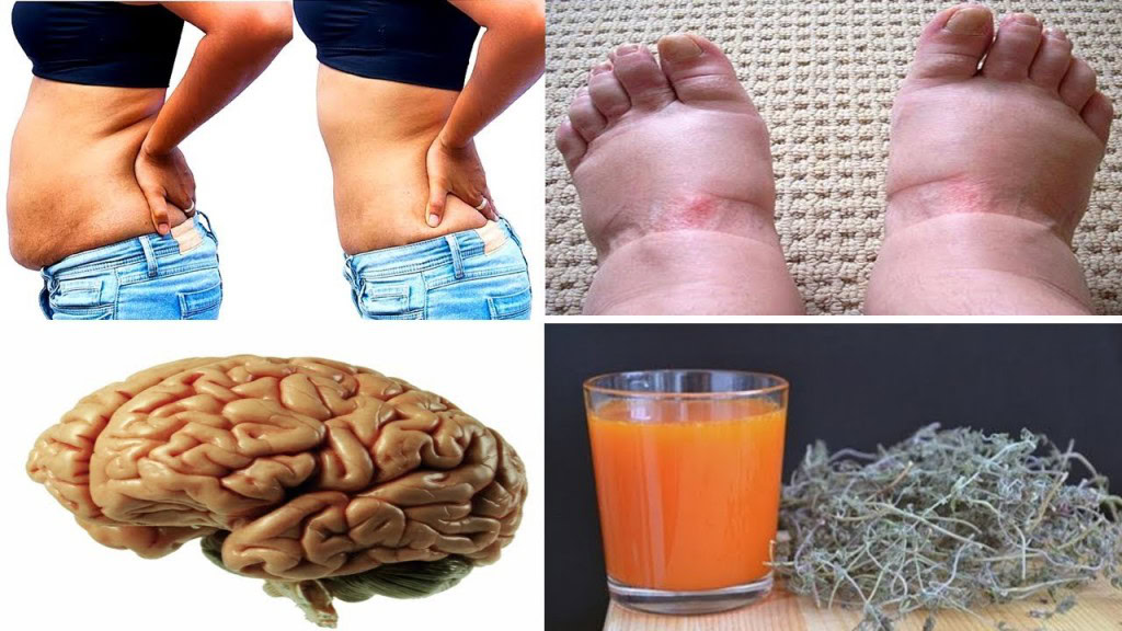 derrete gordura, desincha o corpo e melhora a memoria | Dicas de Saúde derrete gordura, desincha o corpo e melhora a memoria